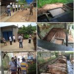 Peninjauan Tim Kecamatan Terkait Limbah Ternak Babi