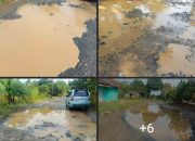 *Kondisi Jalan Simpang Neki-Simpang Asam Way Kanan Rusak Parah, Warga Minta Perhatian Pemprov Dan Pemkab*